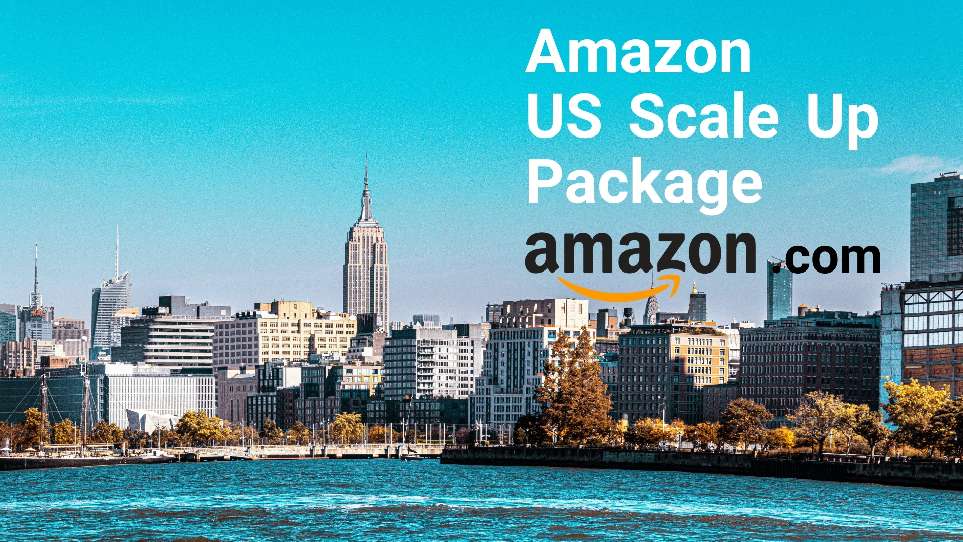 amazon private label and fba sales consultancy